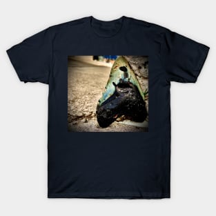 The Next Epoch is Right Around the Corner T-Shirt